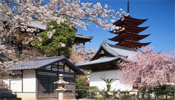 申请日本留学签证有哪些误区呢？
