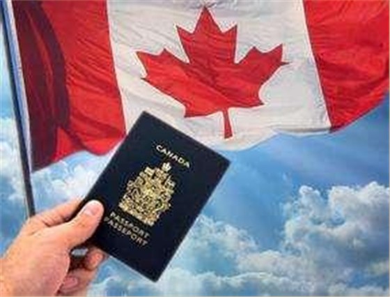 加拿大留学：2020年最难申请的专业有哪些？