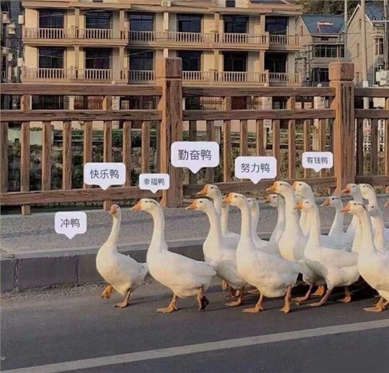 微信图片_20250608185250